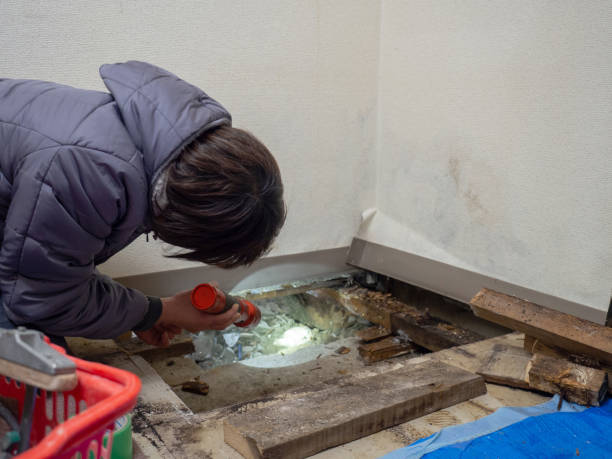 Asbestos and Lead Testing During Mold Inspection in Locust Valley, NY