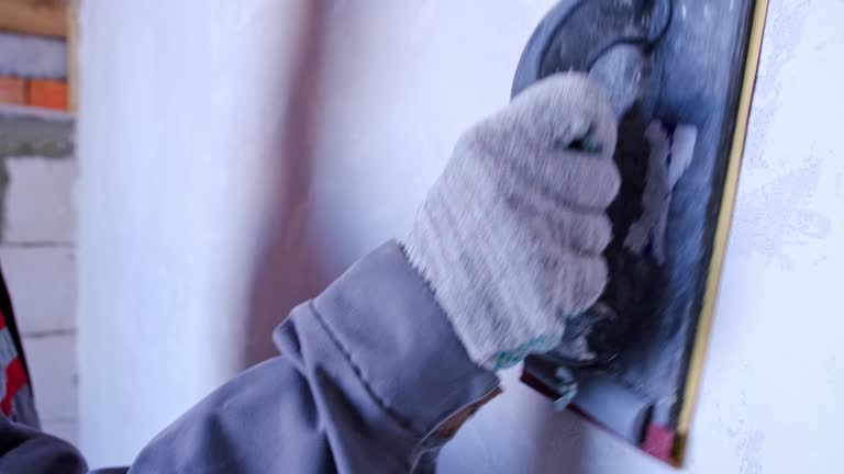 Trusted Locust Valley, NY Mold Removal Experts