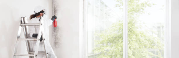 Mold Removal for HVAC Installations in Locust Valley, NY